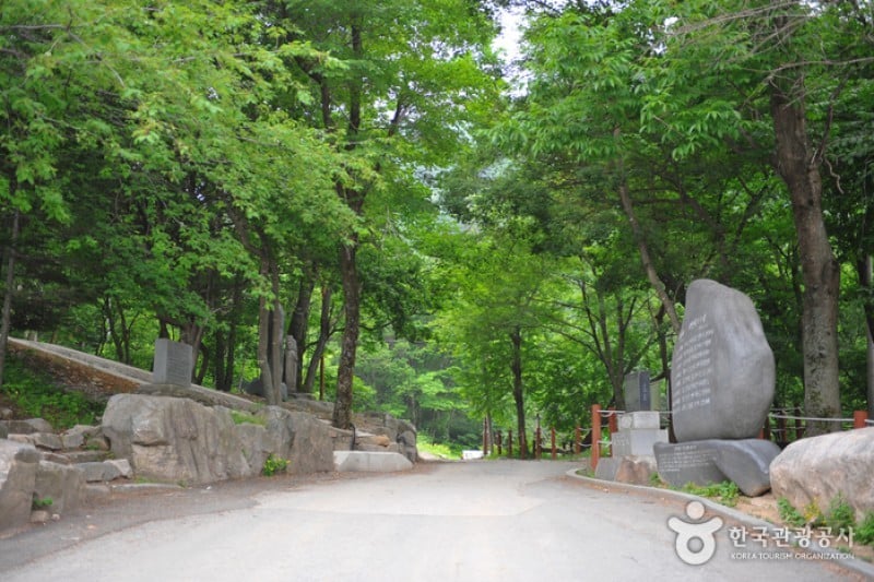 太白山道立公園 (2/5)