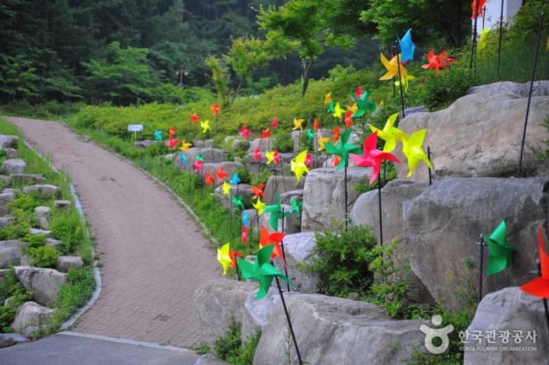 太白山道立公園 (5/5)