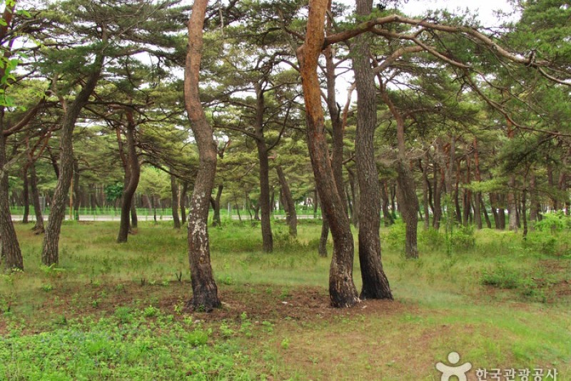 洛山道立公園 (2/4)