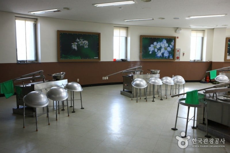 春川マッククス体験博物館 (11/13)