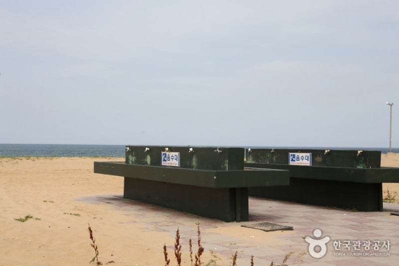 三陟海岸 (1/10)