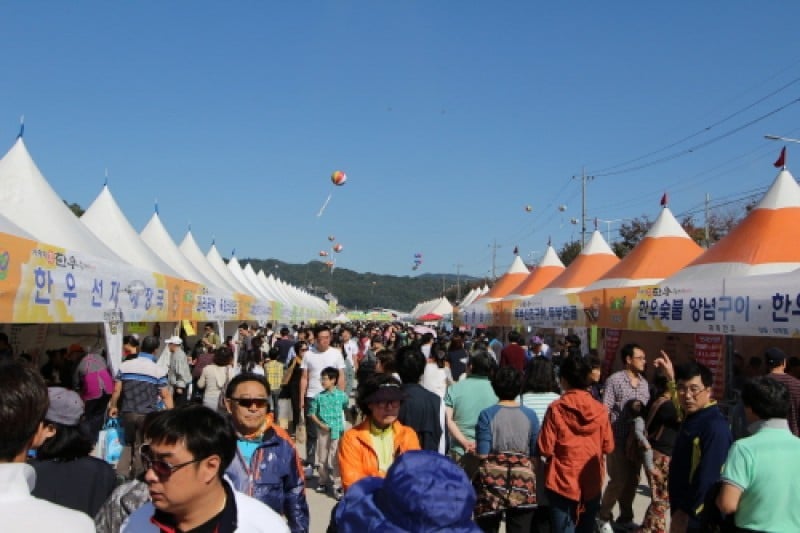 横城韓牛祭り (6/7)
