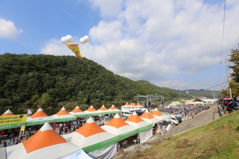 横城韓牛祭り (7/7)