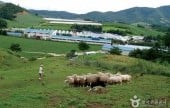 平昌 大関嶺 風の村