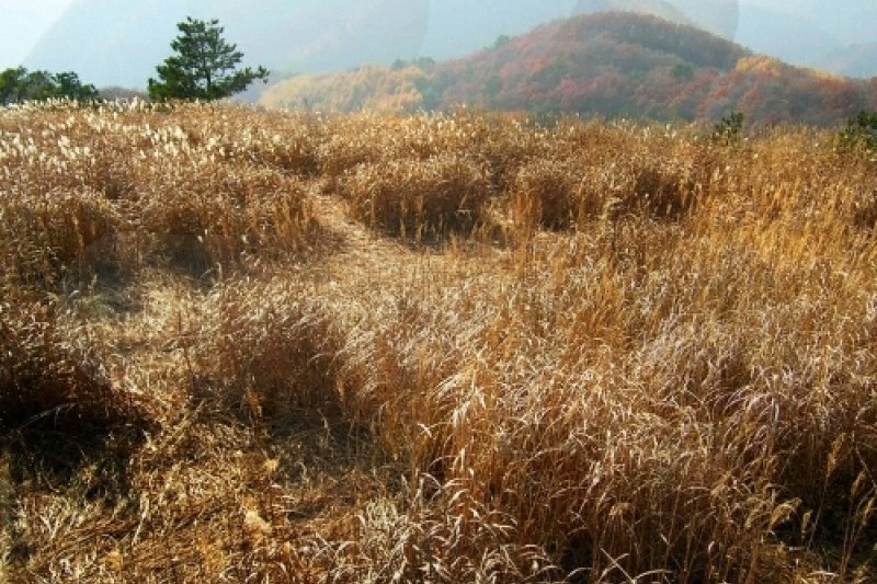 ミンドゥン山（江原） (2/5)