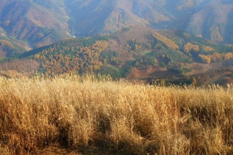 ミンドゥン山（江原） (4/5)