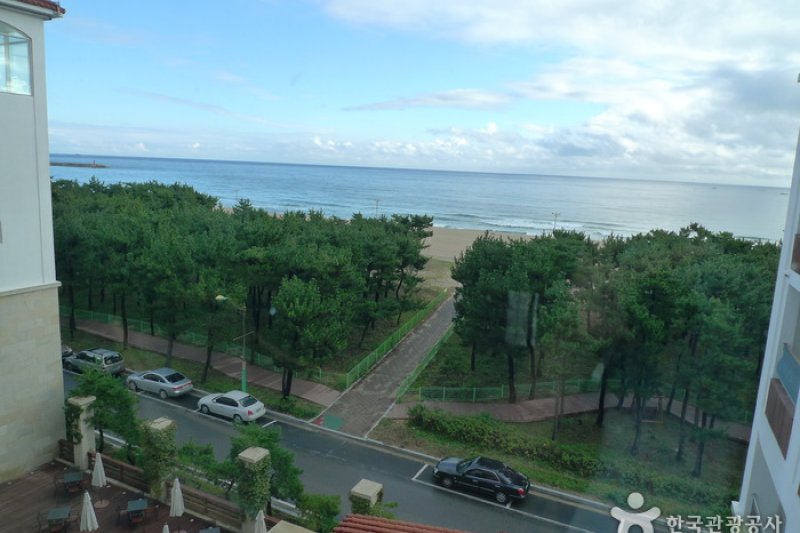 スイートホテル洛山 (6/21)