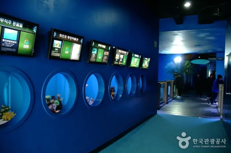花津浦海洋博物館 (7/9)