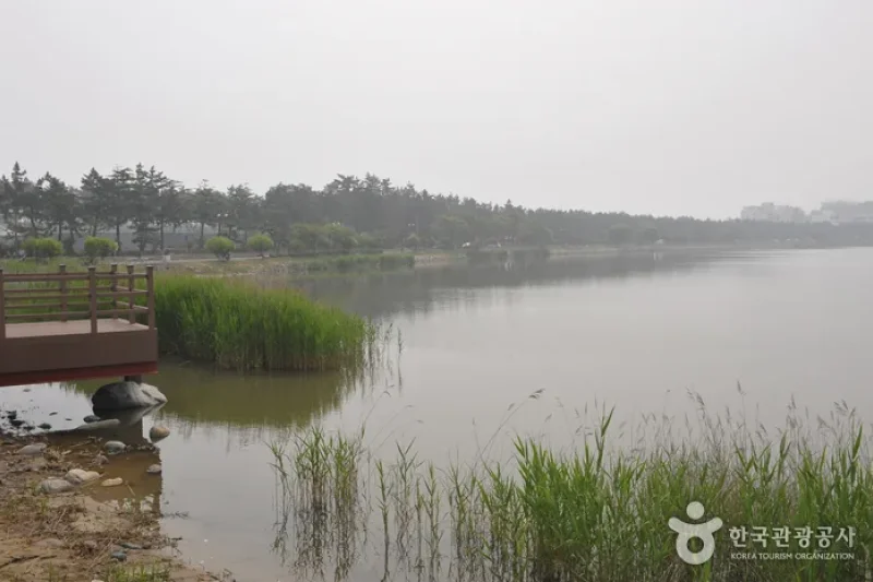 鏡浦道立公園 (6/6)
