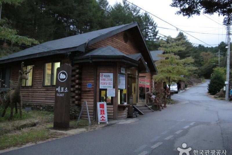 青太山自然休養林 (11/36)