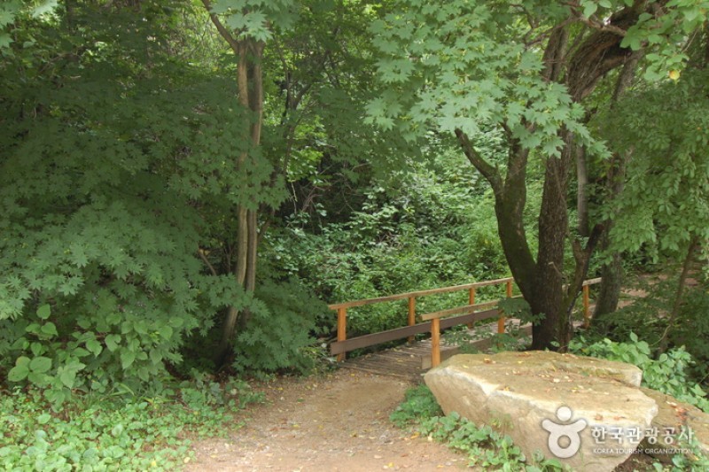 青太山自然休養林 (18/36)