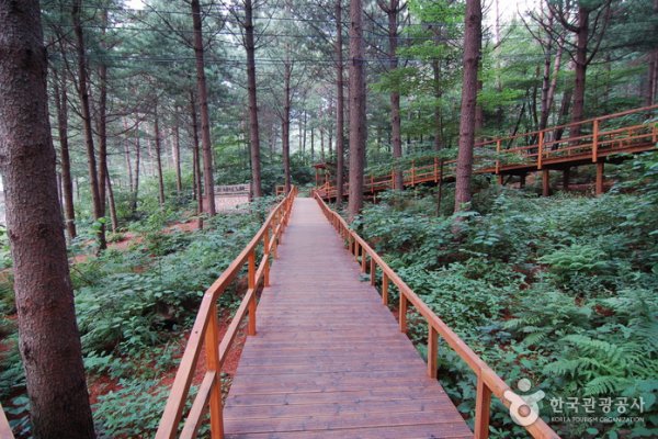 青太山自然休養林