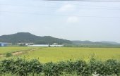 鉄原平野
