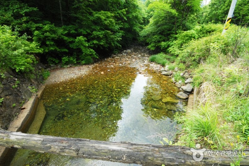 三峰自然休養林 (9/11)
