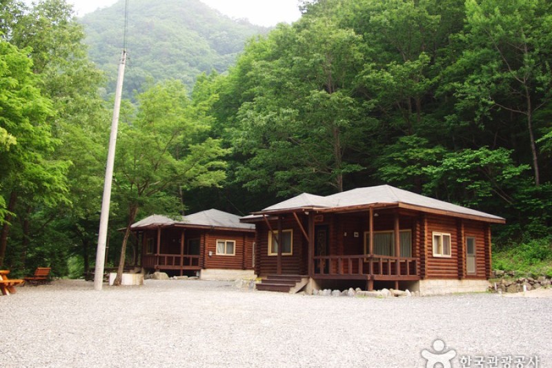 国立米川谷自然休養林 (2/12)