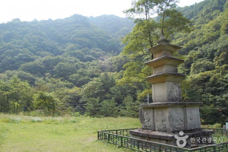 国立米川谷自然休養林 (7/12)