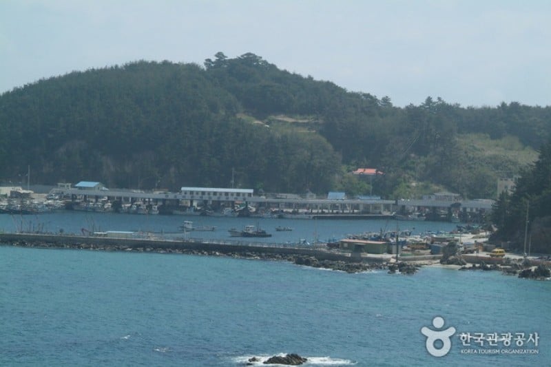 荘湖港 (1/5)