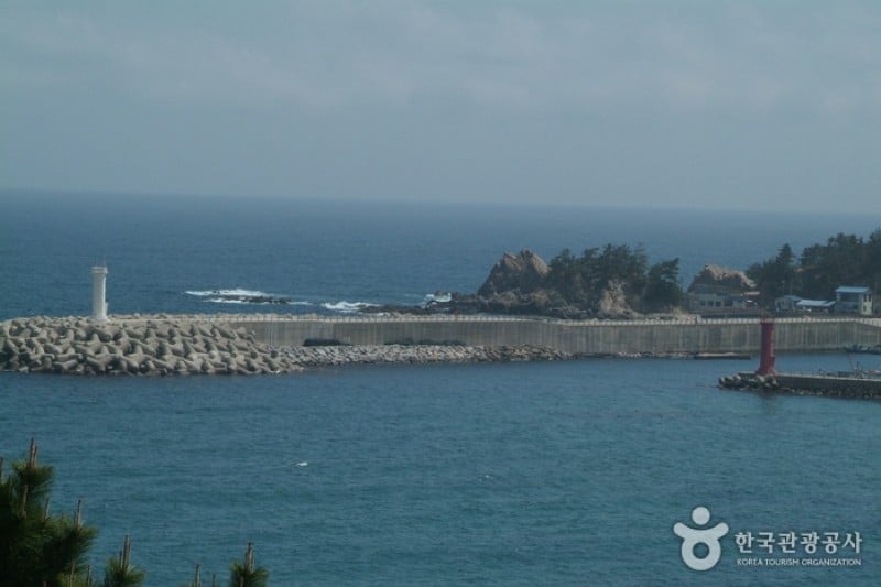 荘湖港 (2/5)