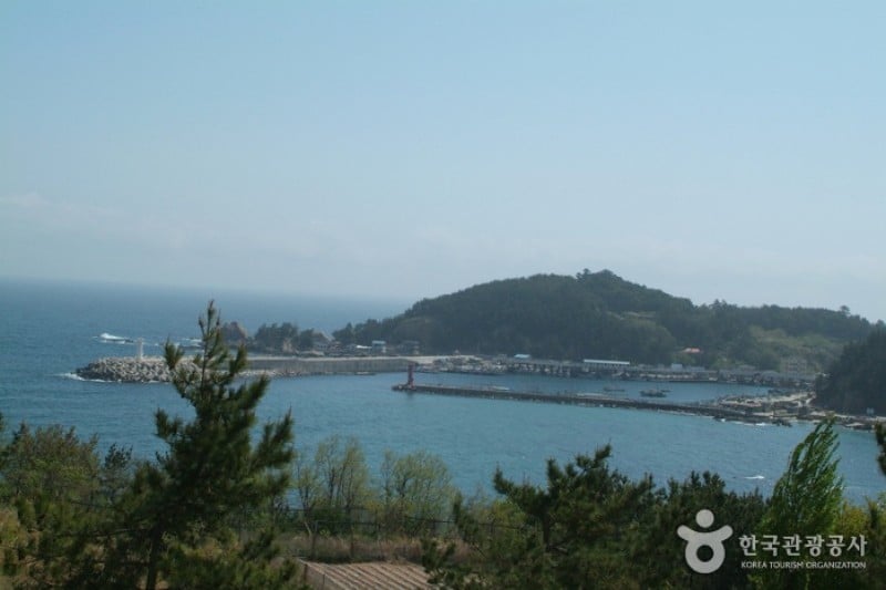 荘湖港 (3/5)