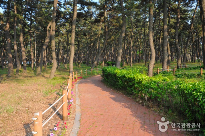 連谷海岸（連谷海水浴場）（연곡해변 (2/11)