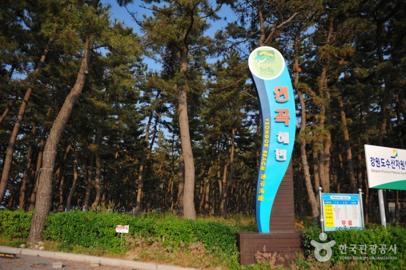 連谷海岸（連谷海水浴場）（연곡해변 (4/11)