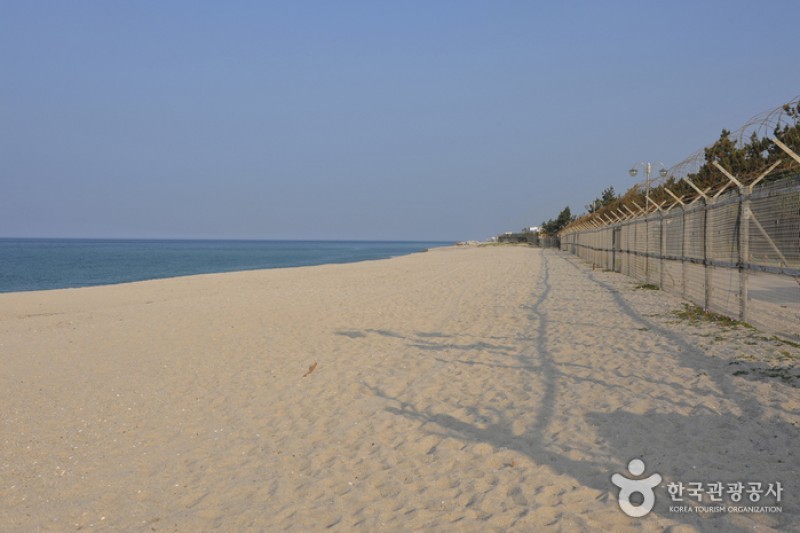 連谷海岸（連谷海水浴場）（연곡해변 (7/11)