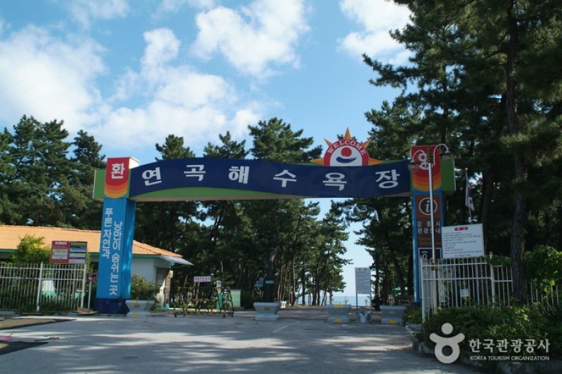 連谷海岸（連谷海水浴場）（연곡해변 (9/11)