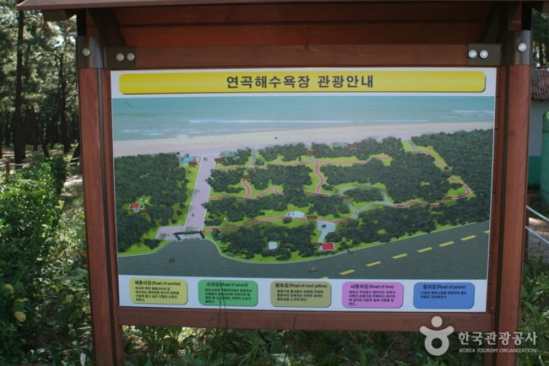 連谷海岸（連谷海水浴場）（연곡해변 (11/11)