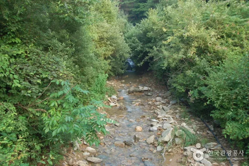 酒泉江自然休養林 (18/35)