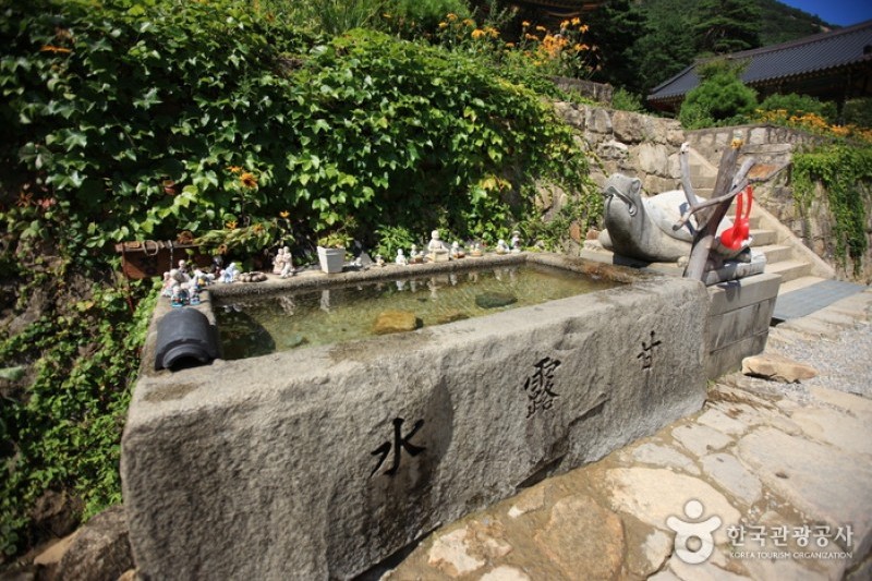 三和寺 (6/13)