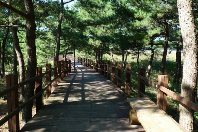 鰲山里先史遺跡博物館 (6/43)