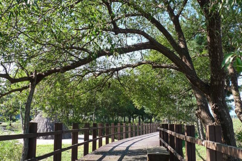 鰲山里先史遺跡博物館 (7/43)