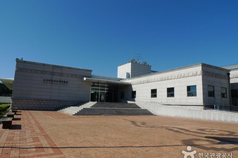 鰲山里先史遺跡博物館 (14/43)