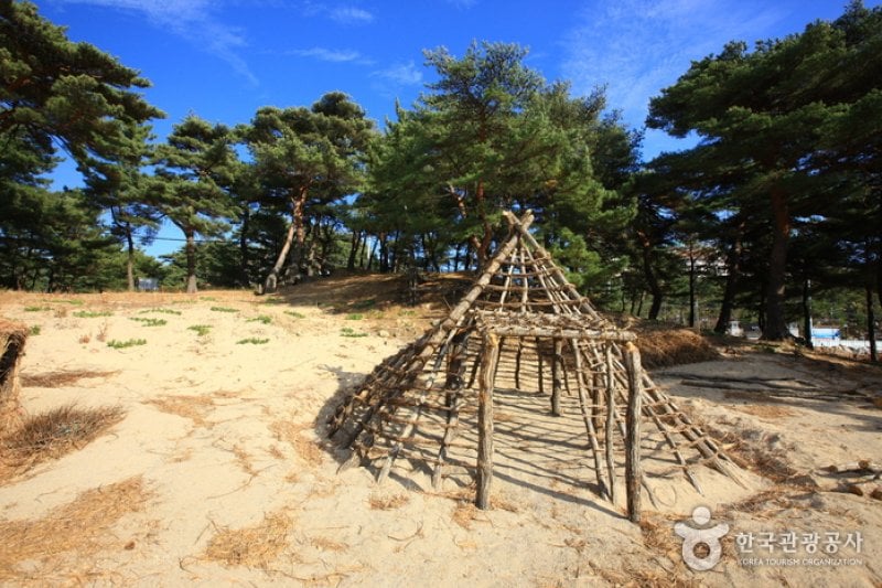 鰲山里先史遺跡博物館 (38/43)