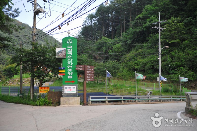 国立白雲山自然休養林 (2/3)