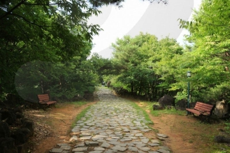 白馬高地戦跡地 (25/43)