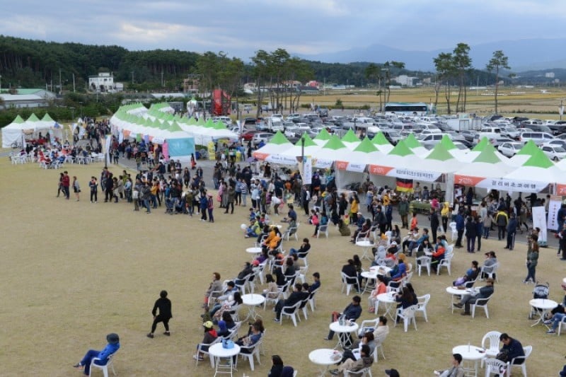 江陵コーヒー祭り (2/18)