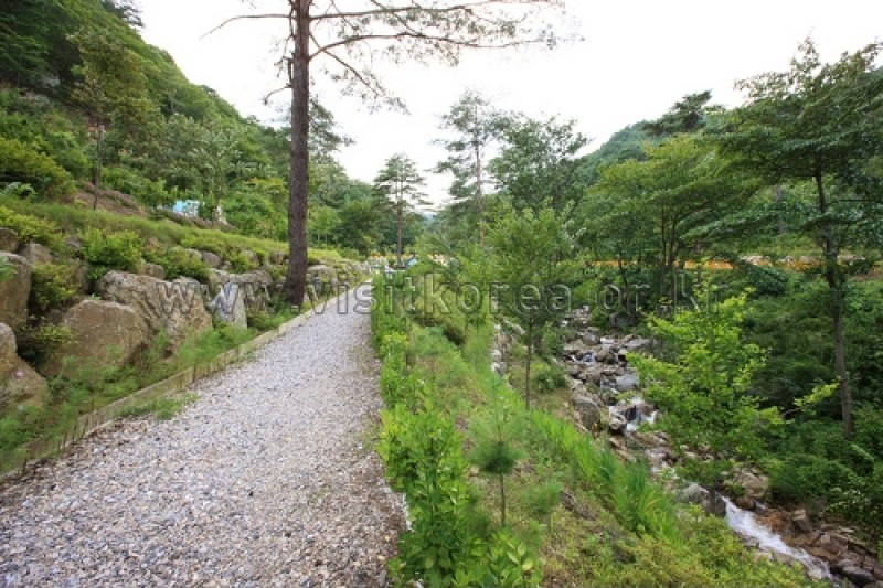 剣峰山自然休養林 (17/27)