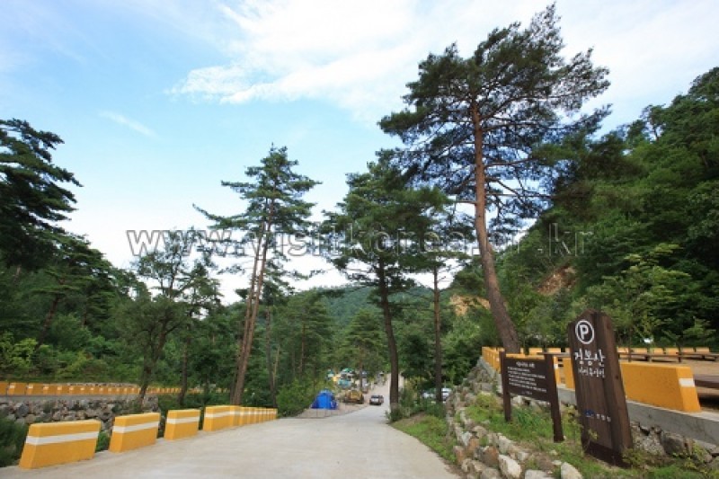 剣峰山自然休養林 (26/27)