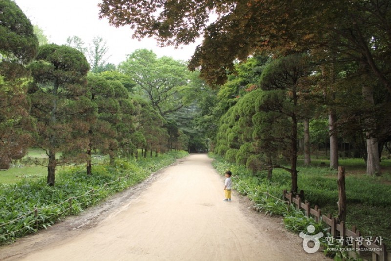 ホテル静観楼本館 [韓国観光品質認証] / 호텔정관루본관 [한국관광 품질인증/Korea Quality] (4/17)