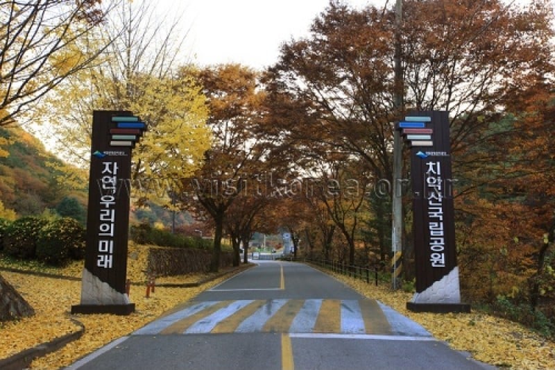 雉岳山国立公園 (4/43)