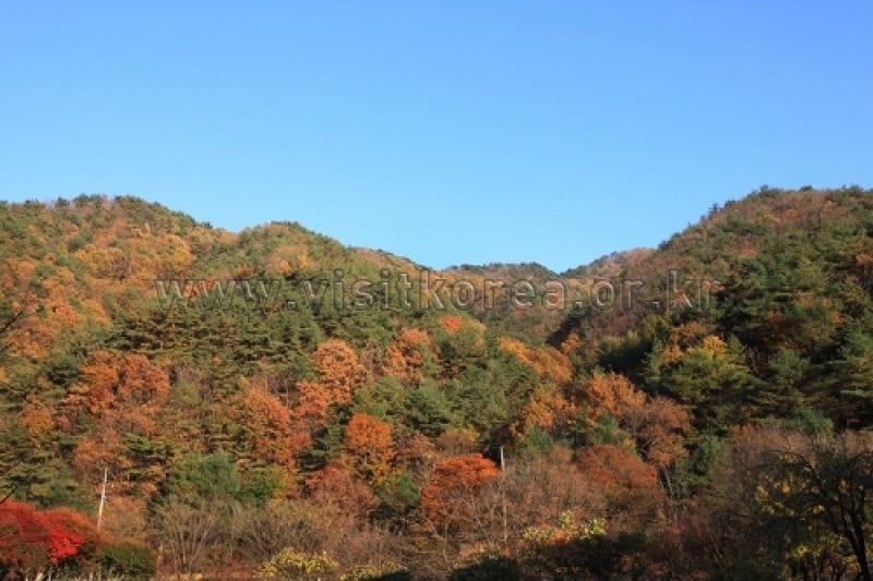 雉岳山国立公園 (5/43)