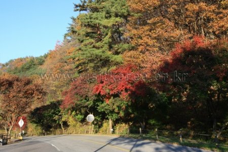 雉岳山国立公園