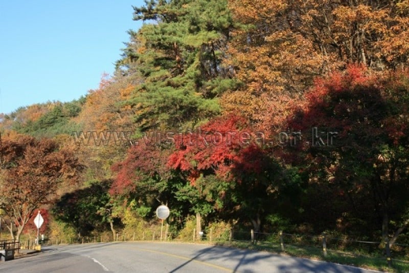 雉岳山国立公園 (8/43)