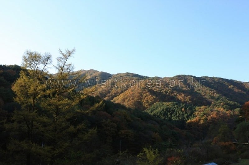 雉岳山国立公園 (9/43)