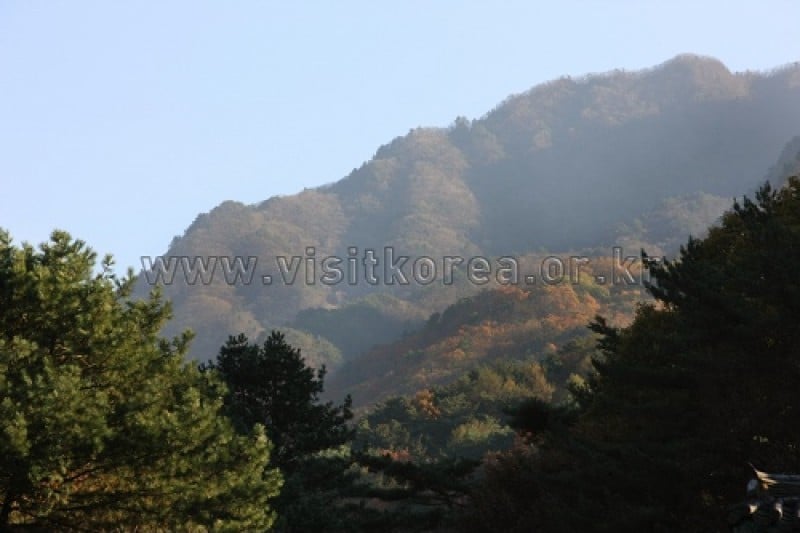 雉岳山国立公園 (10/43)