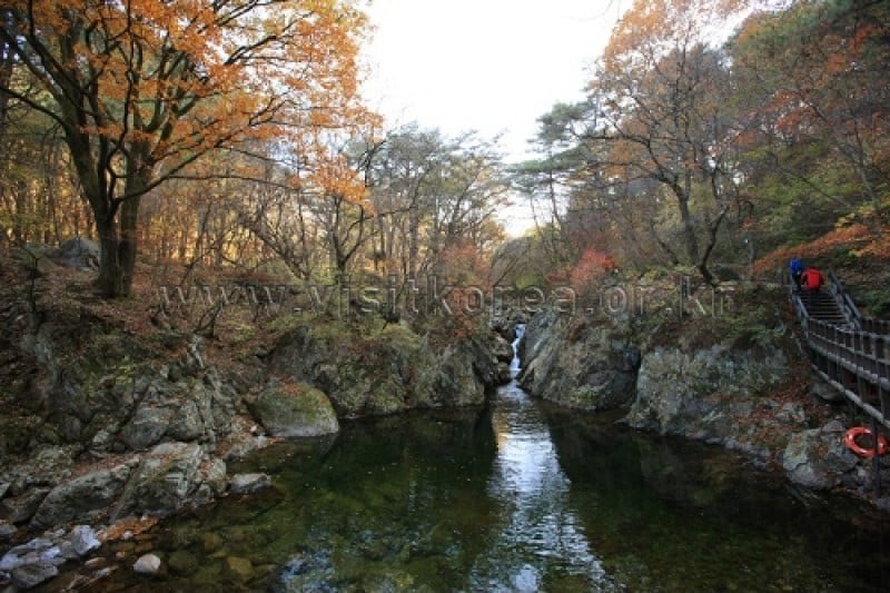 雉岳山国立公園 (12/43)