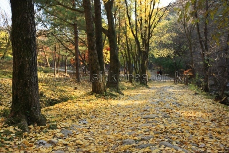 雉岳山国立公園 (13/43)