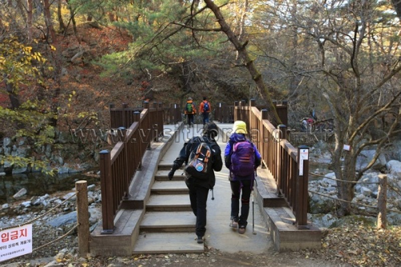 雉岳山国立公園 (14/43)