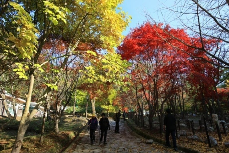 雉岳山国立公園 (15/43)